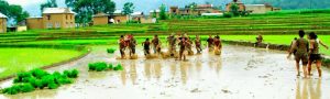 फाइल तस्वीर
