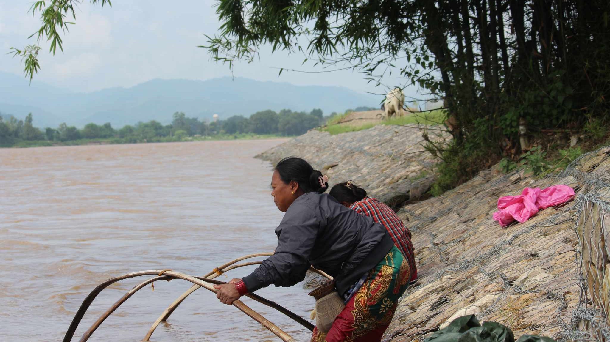 बबई नदी किनारमा निर्माण गरिएको तटबन्धन छेउमा टापीको सहायताले माछा मार्दै स्थानीय महिला
